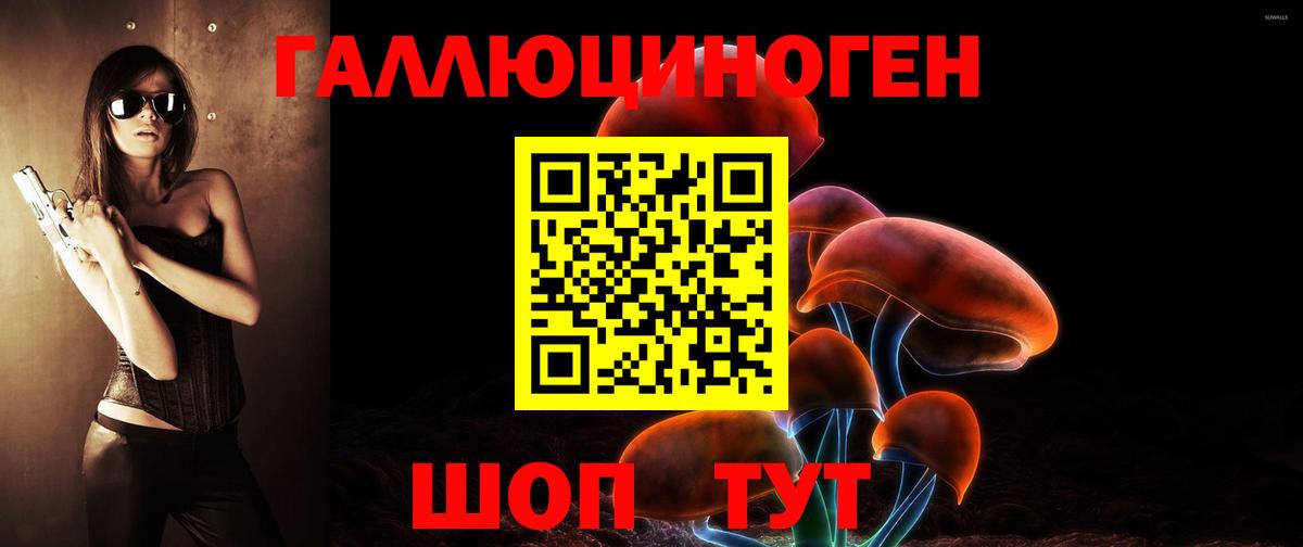 Уссурийск  Псилоцибиновые грибы Psilocybe  Вход с VPN  Псилоцибиновые грибы прущие грибы 
